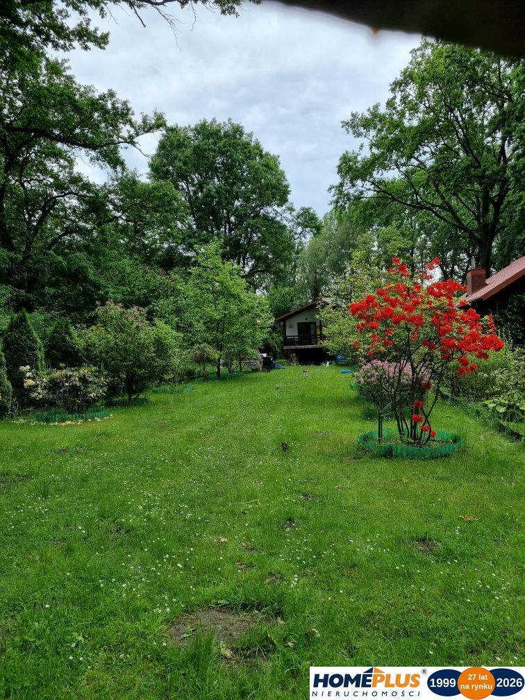 Klimatyczny domek przy Bugu na końcu świata