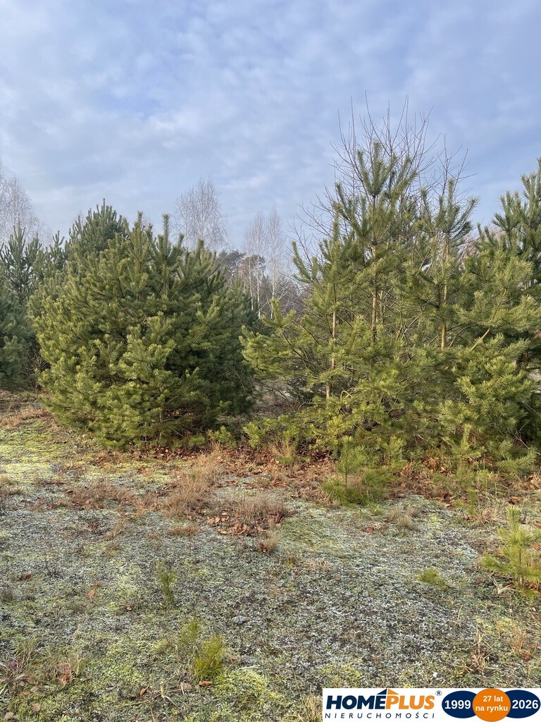 Działka 1050 m² pod zabudowę letniskową.