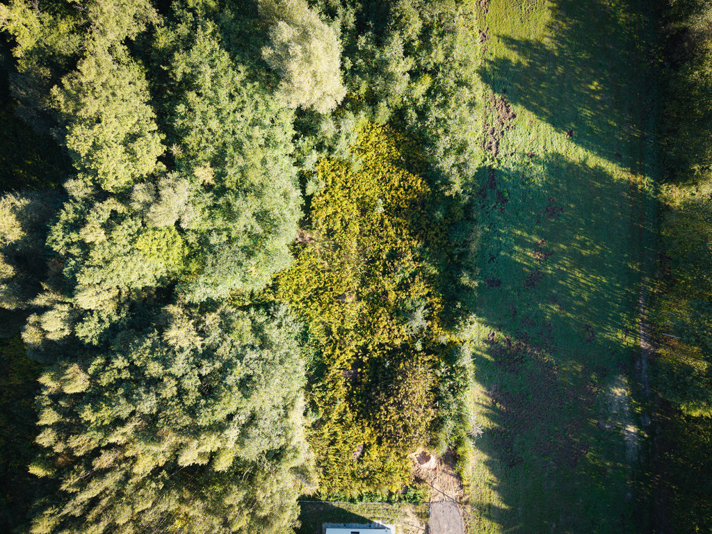 Działka na której usłyszysz szum morza!