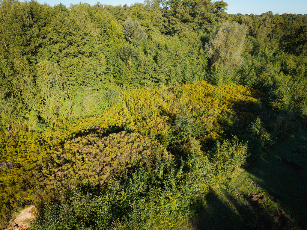 Działka na której usłyszysz szum morza!