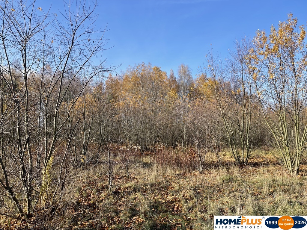 Działka budowlana 5428 m² Słupno – wszystkie media