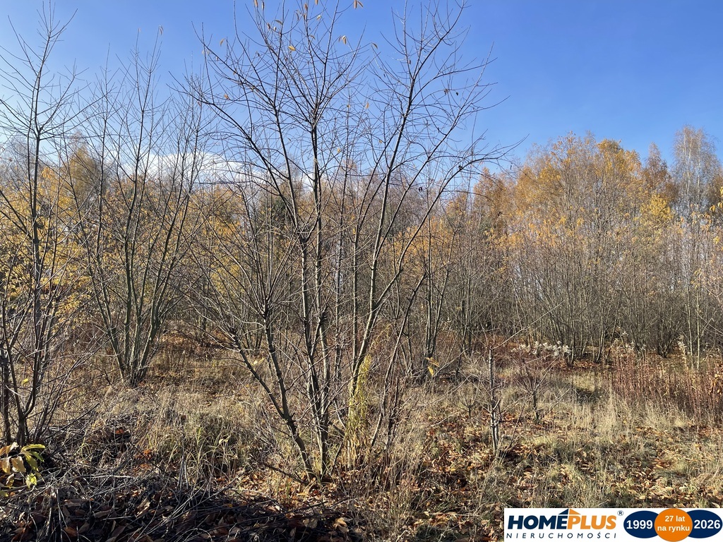 Działka budowlana 5428 m² Słupno – wszystkie media