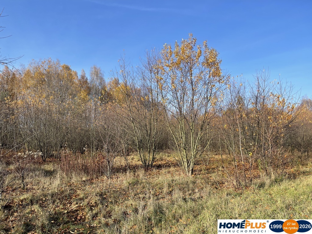 Działka budowlana 5428 m² Słupno – wszystkie media