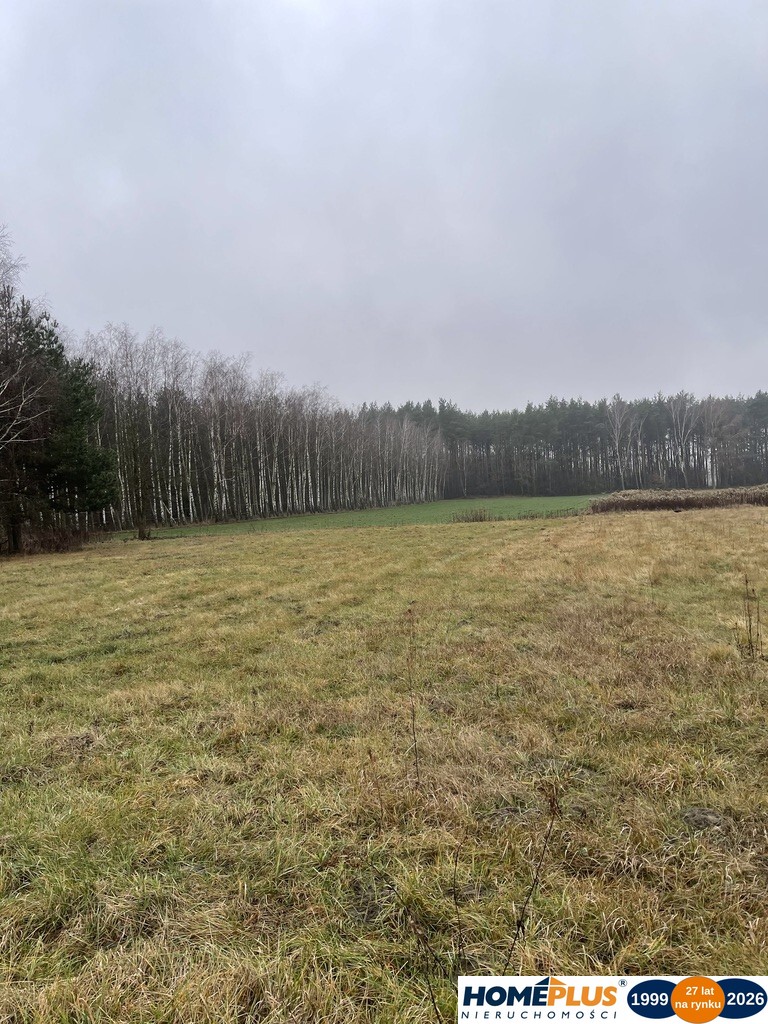 Działka bud. 4113 m² w Sierakowie koło Radzymina.