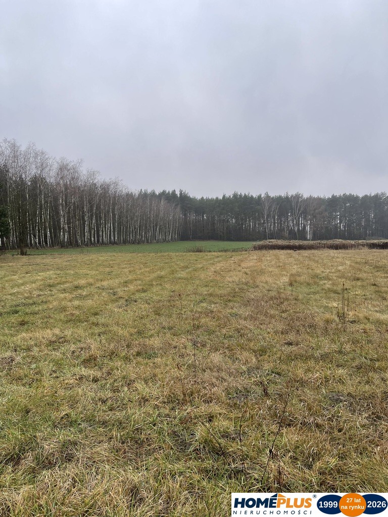 Działka bud. 4113 m² w Sierakowie koło Radzymina.