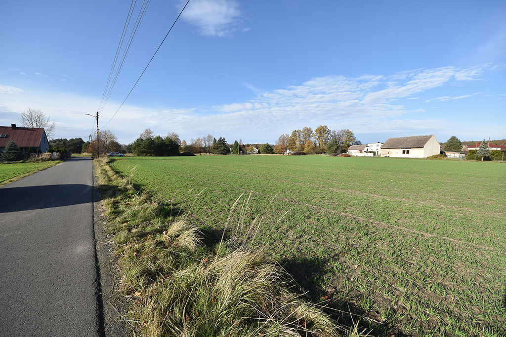 Duża działka budowlana 9051 m² – Turawa, Marszałki