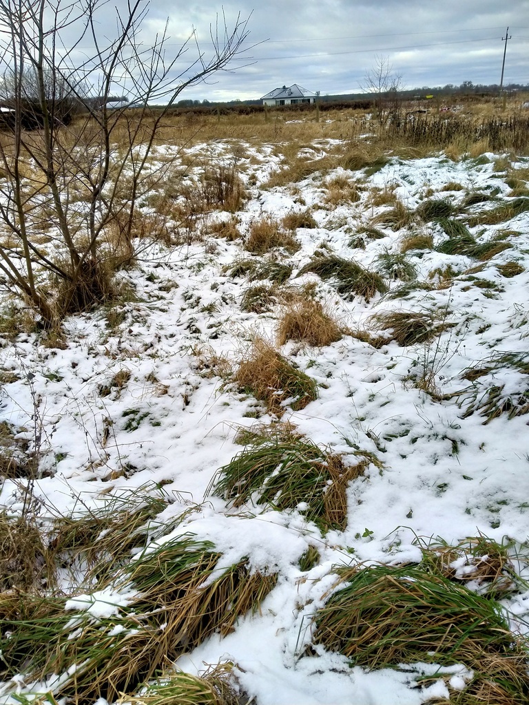 Działka 2240 m2,Kliniska Wielkie, gm. Goleniów