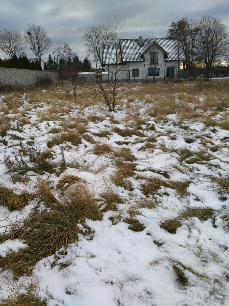Działka 2240 m2,Kliniska Wielkie, gm. Goleniów
