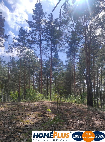 Działka dla miłośników natury i spokoju, Radzymin