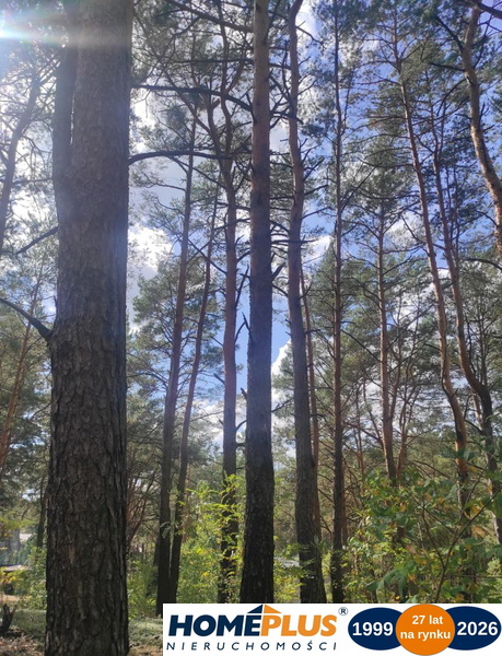 Działka dla miłośników natury i spokoju, Radzymin