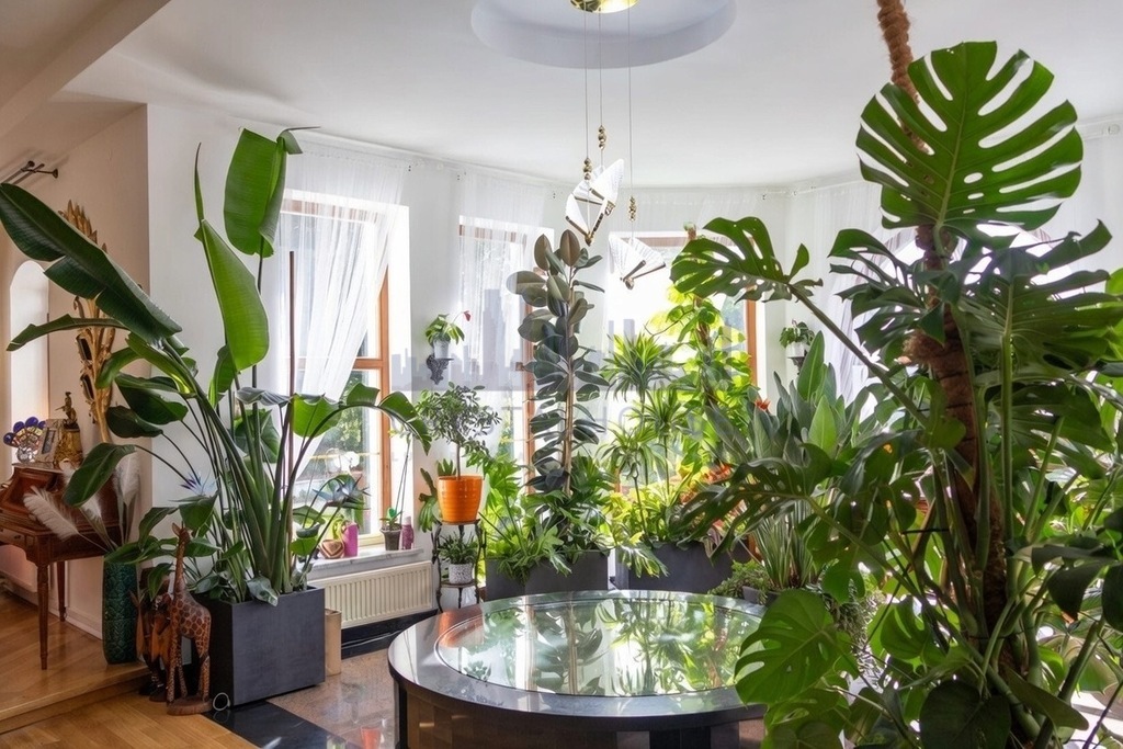 Elegancka Rezydencja z basenem, Ursynów