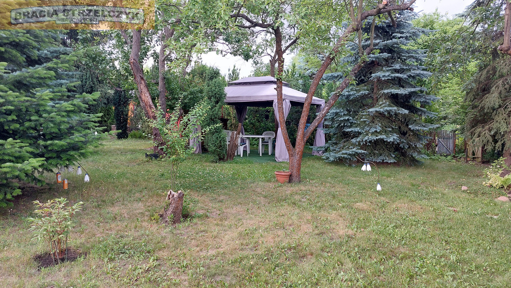 Działka ROD Siekierki II - 300 m²