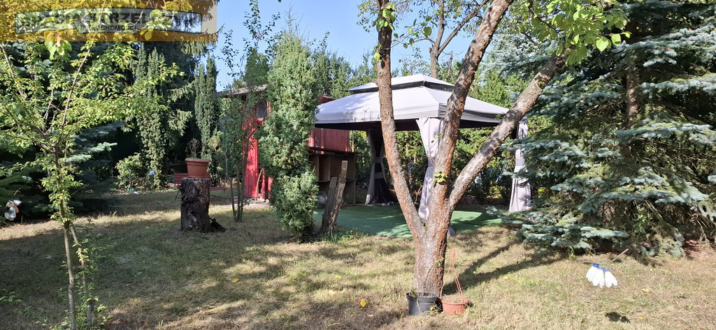 Działka ROD Siekierki II - 300 m²