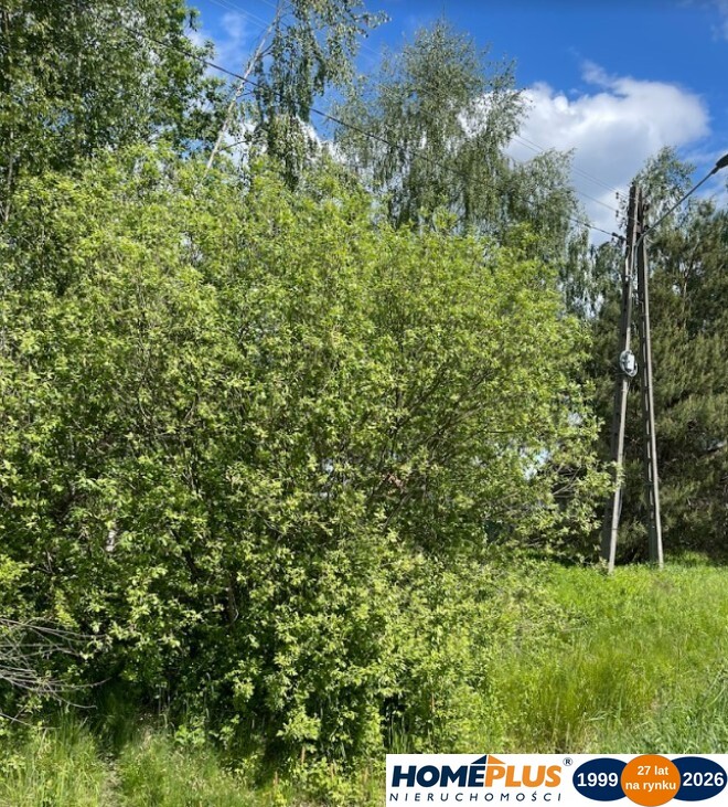 Na sprzedaż działka w Radzyminie – 2000 m²