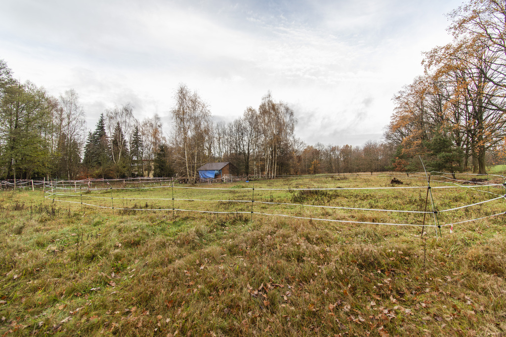 Płaska działka 1,34 ha, idealna pod inwestycję