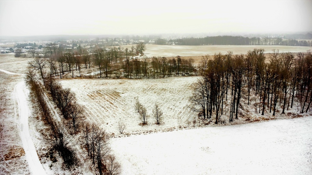Atrakcyjna działka inwestycyjna w zieleni
