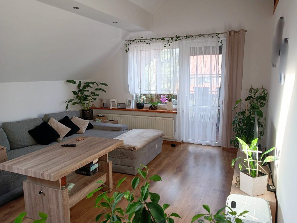 Wyjątkowy dom z potencjałem Opole winów 370m