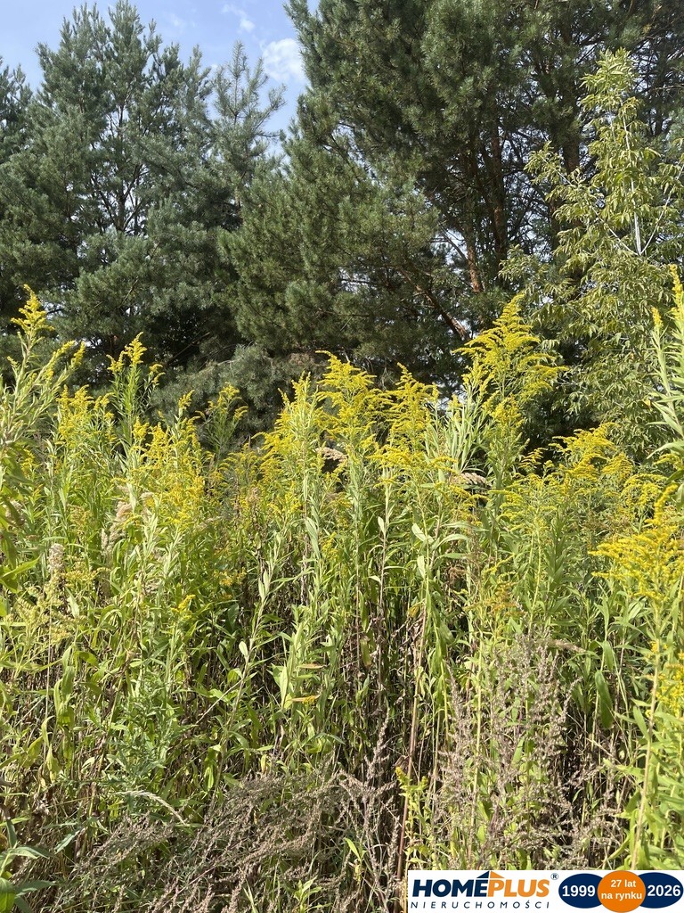 Działka budowlana 807 m², Słupno k. Radzymina