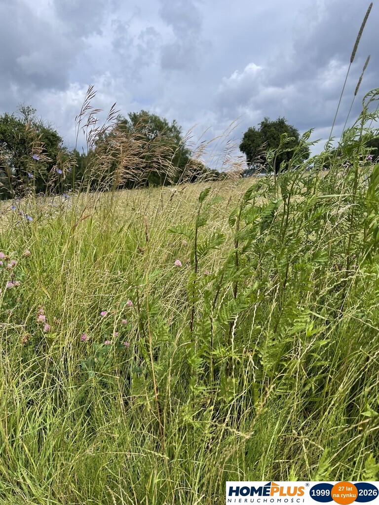 Działka 10 244 m² zabudowa mieszkaniowa i usługi