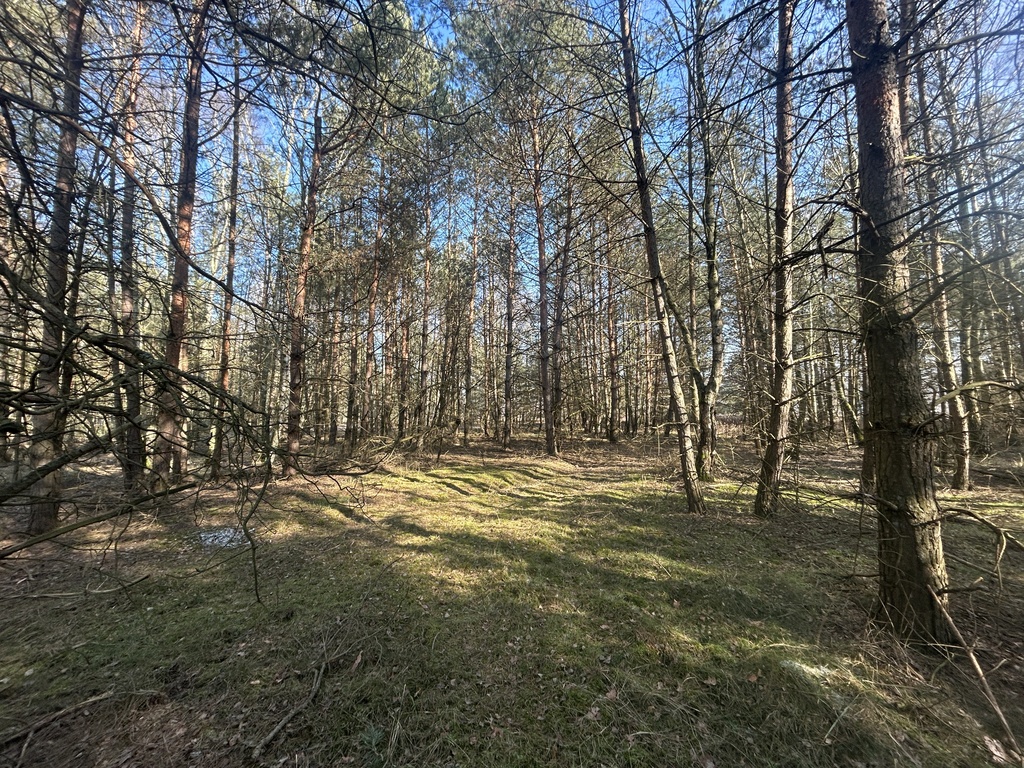 REZERWACJA