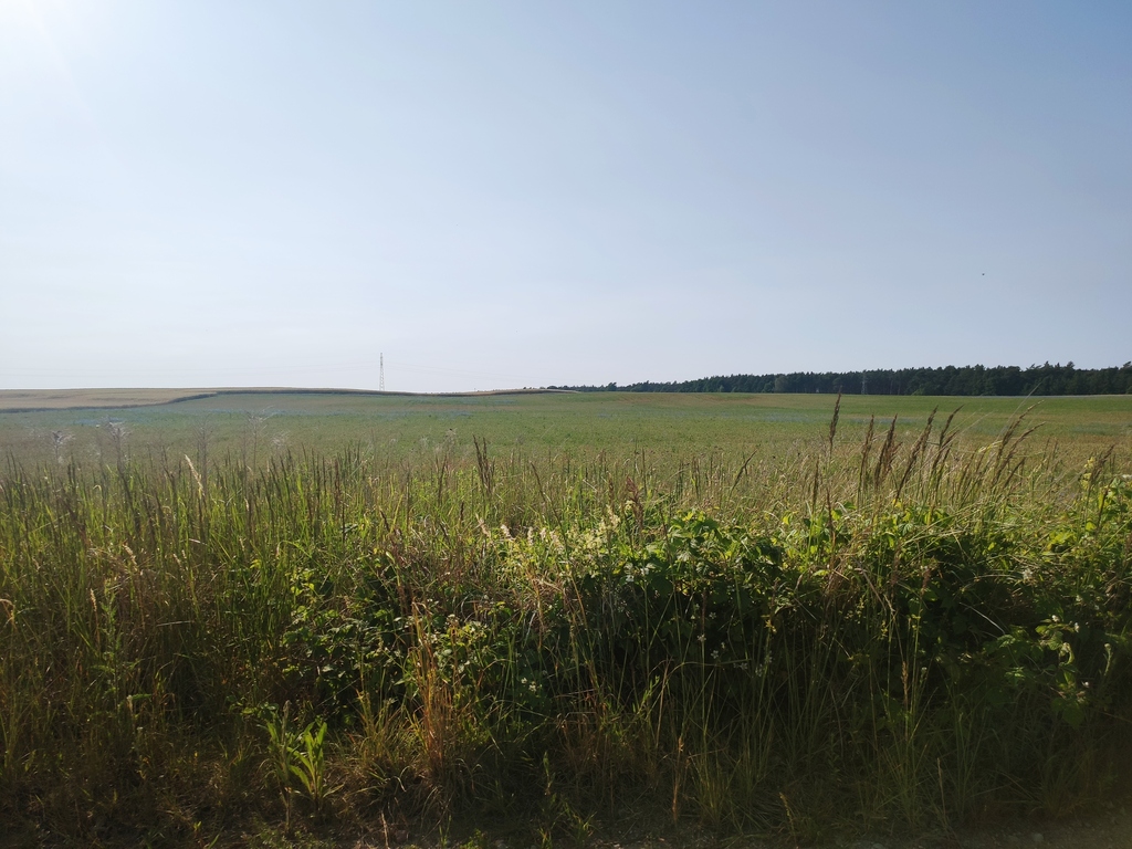 Janczewo, OBOK LAS i JEZIORO. Duże działki budowl.