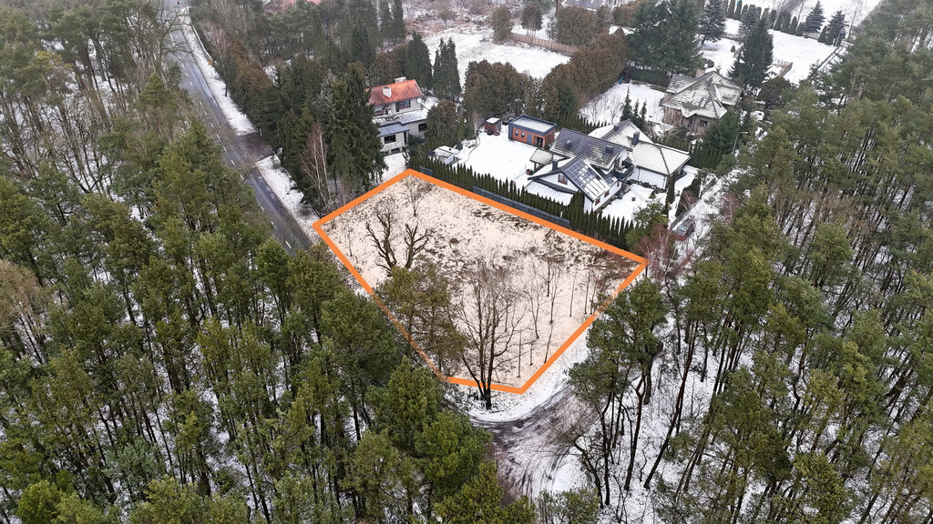 1233 m² spokoju. Las za płotem w Puszczykowie
