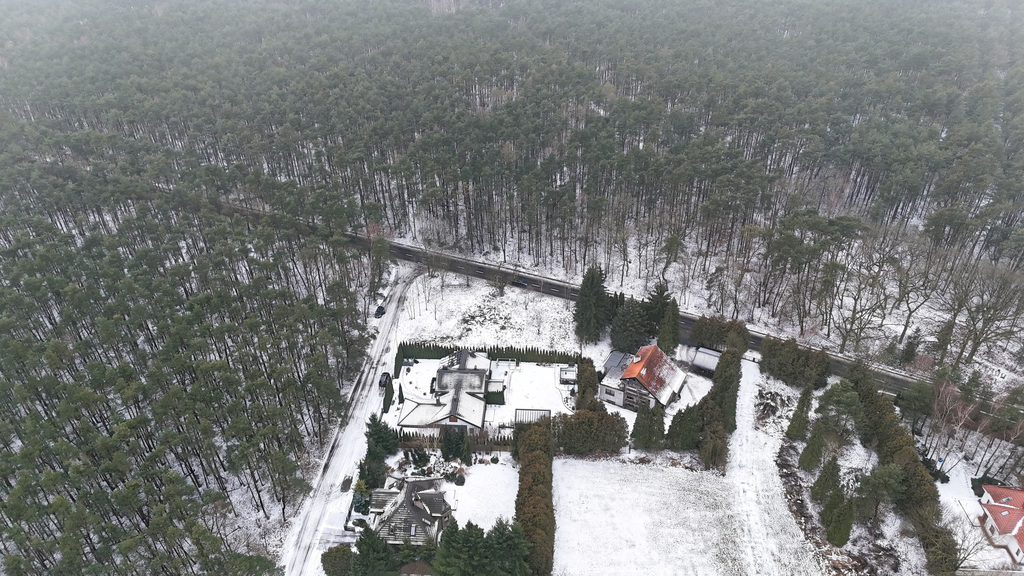 1233 m² spokoju. Las za płotem w Puszczykowie