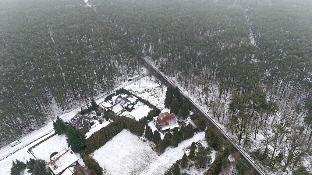 1233 m² spokoju. Las za płotem w Puszczykowie