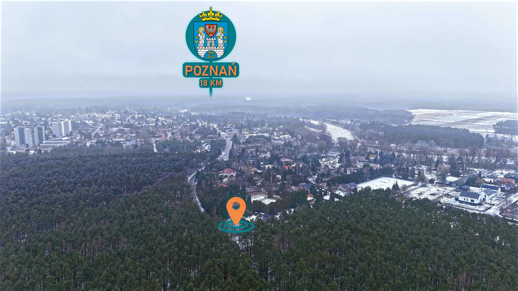 1233 m² spokoju. Las za płotem w Puszczykowie