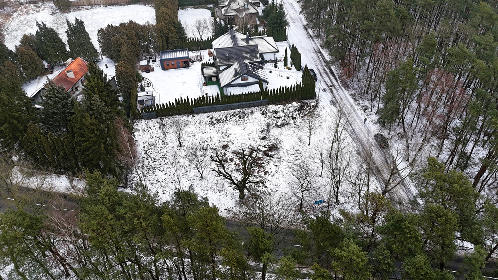 1233 m² spokoju. Las za płotem w Puszczykowie