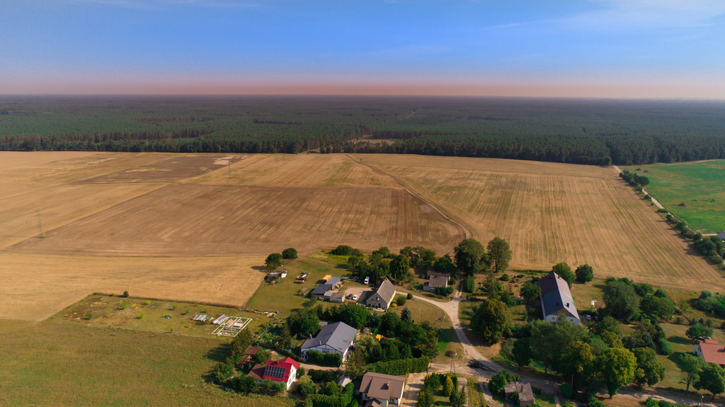 Tania działka budowl. pod lasem. Janczewo Kolonia