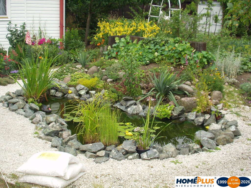 Cicha działka z domkiem w otulinie lasu koło rzeki