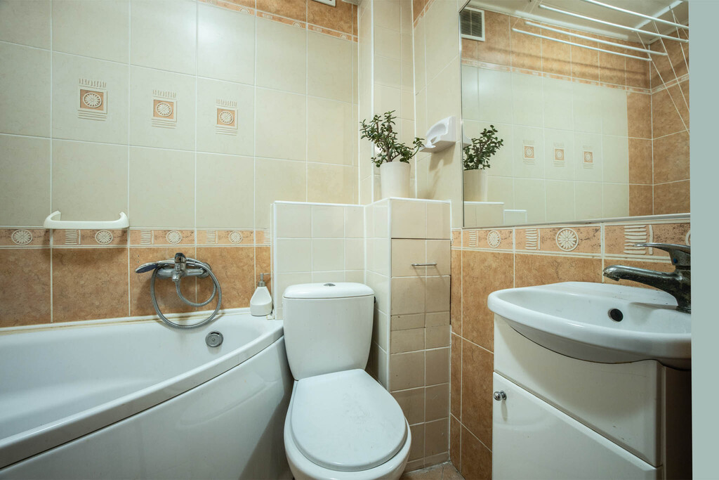 Park i Palmiarnia na wyciągnięcie ręki