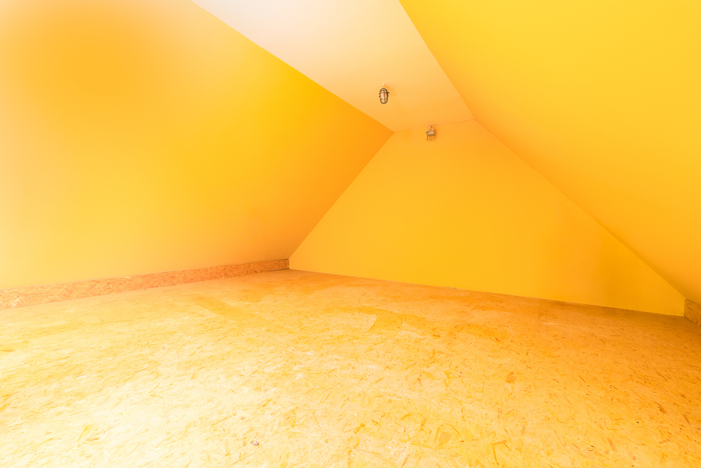 Warszewo-Bliźniak z ogromnym potencjałem