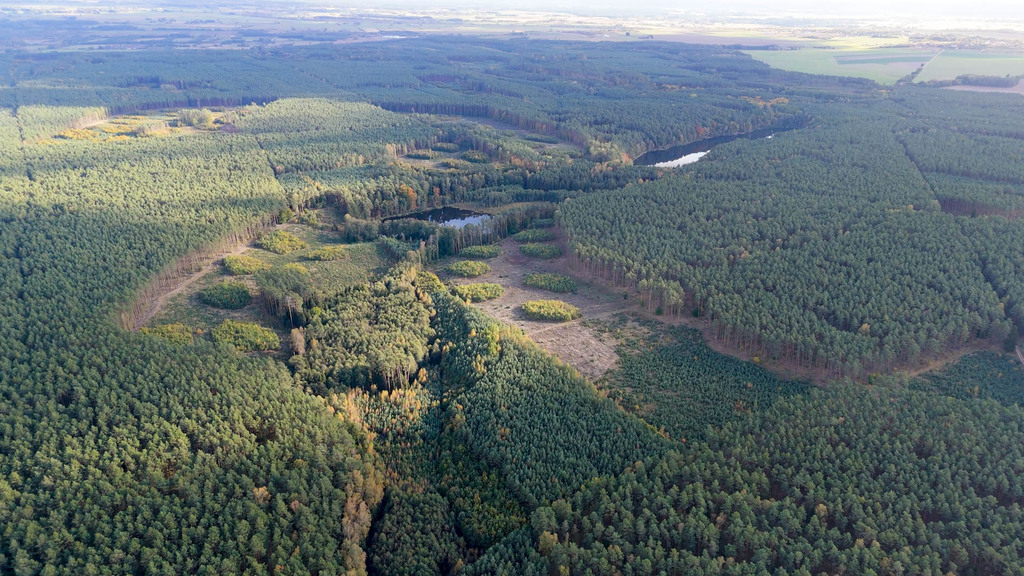 84zł/m2. Janczewo działka budowlana, las, jezioro