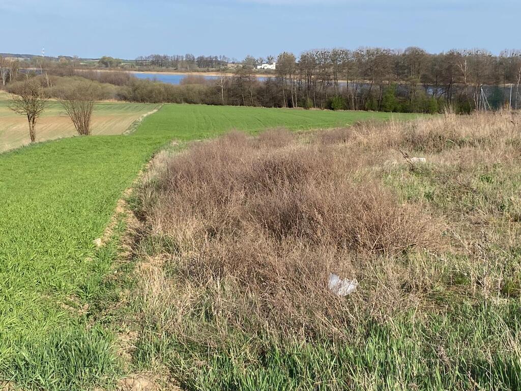 Wyjątkowa działka nad jeziorem Skorzęcin