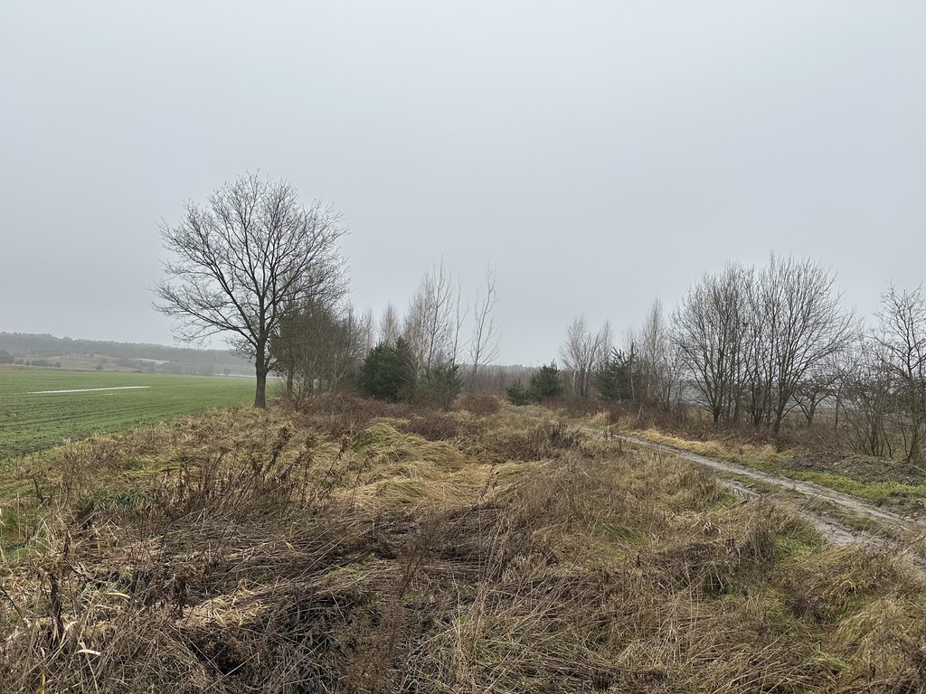 Przepiękna działka, najtaniej w okolicy, kup teraz