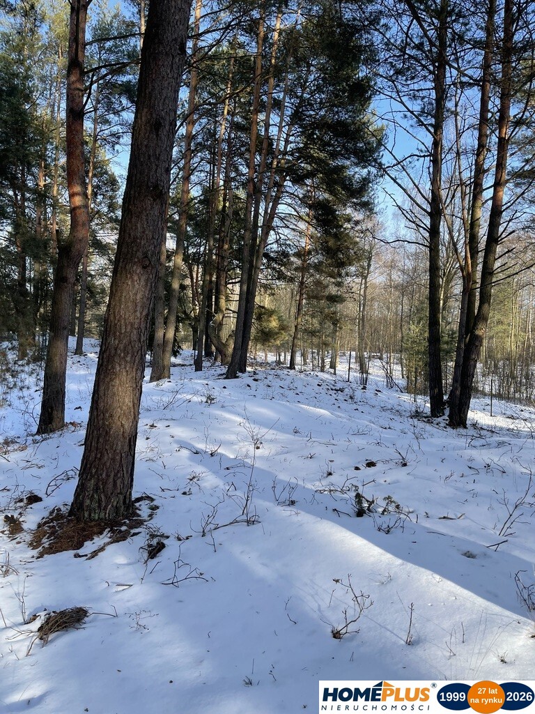 Działka budowlana w lesie, 1500 m² .