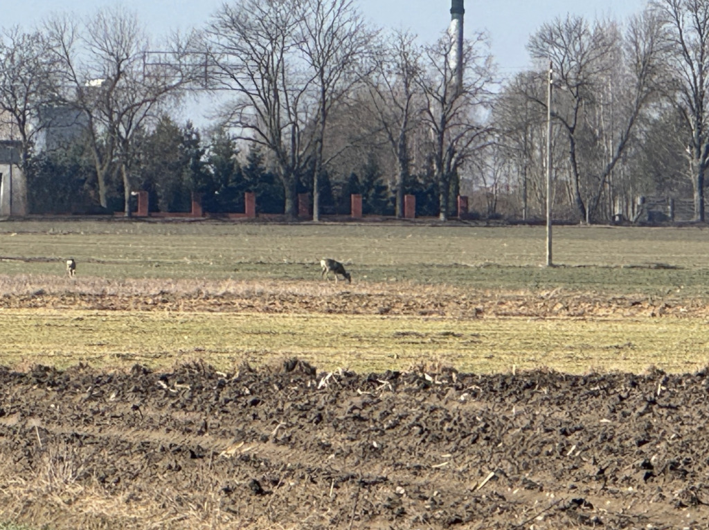 Zbuduj więcej. Żyj wygodniej.