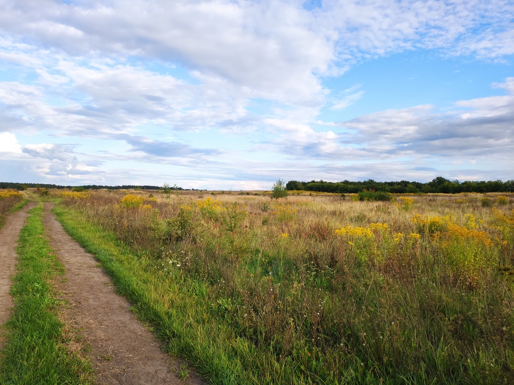 Duża dz. budowl. Możliwy podział na 2. Inwestycja!