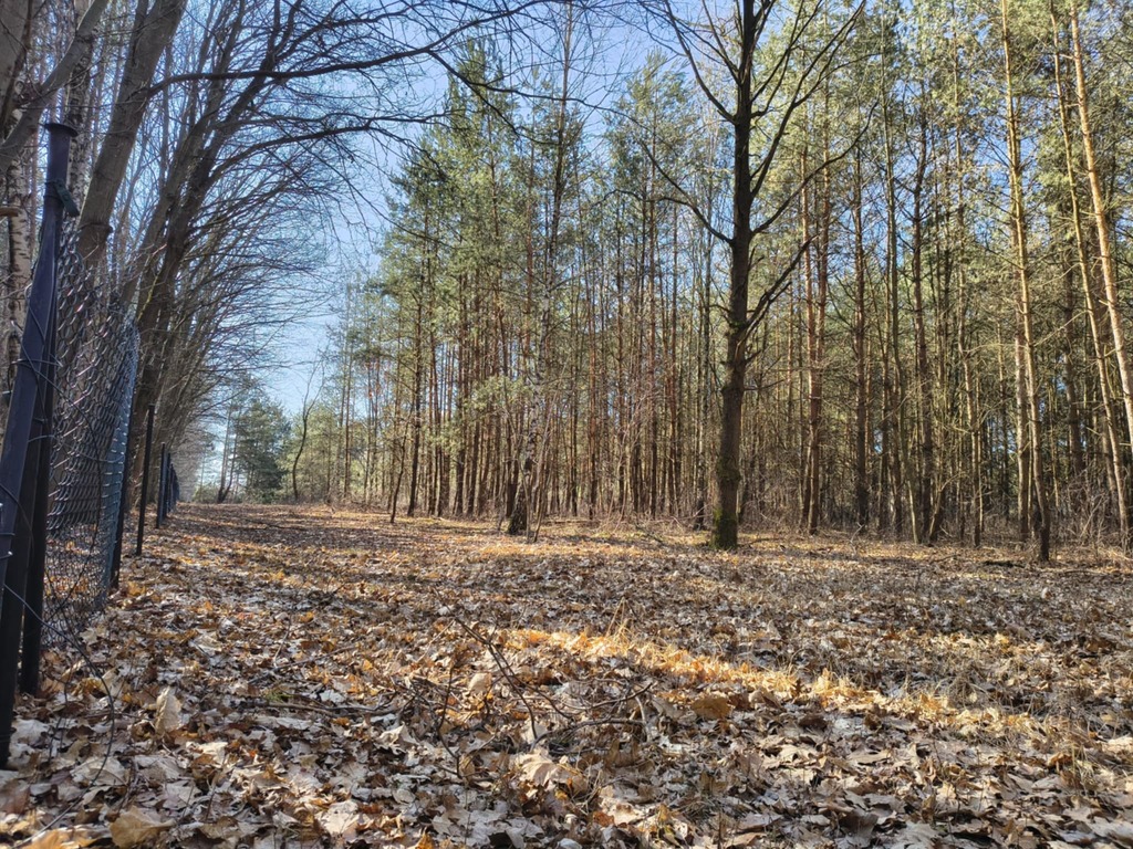 Sokolniki-Las: 2442m2 przestrzeni na rezydencję