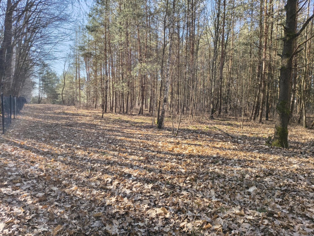 Sokolniki-Las: 2442m2 przestrzeni na rezydencję