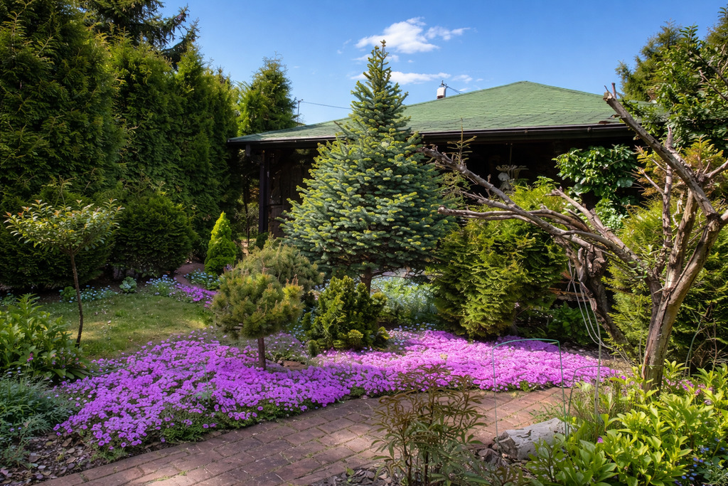 ROD w Łodzi z nowym domkiem – wyposażenie w cenie!