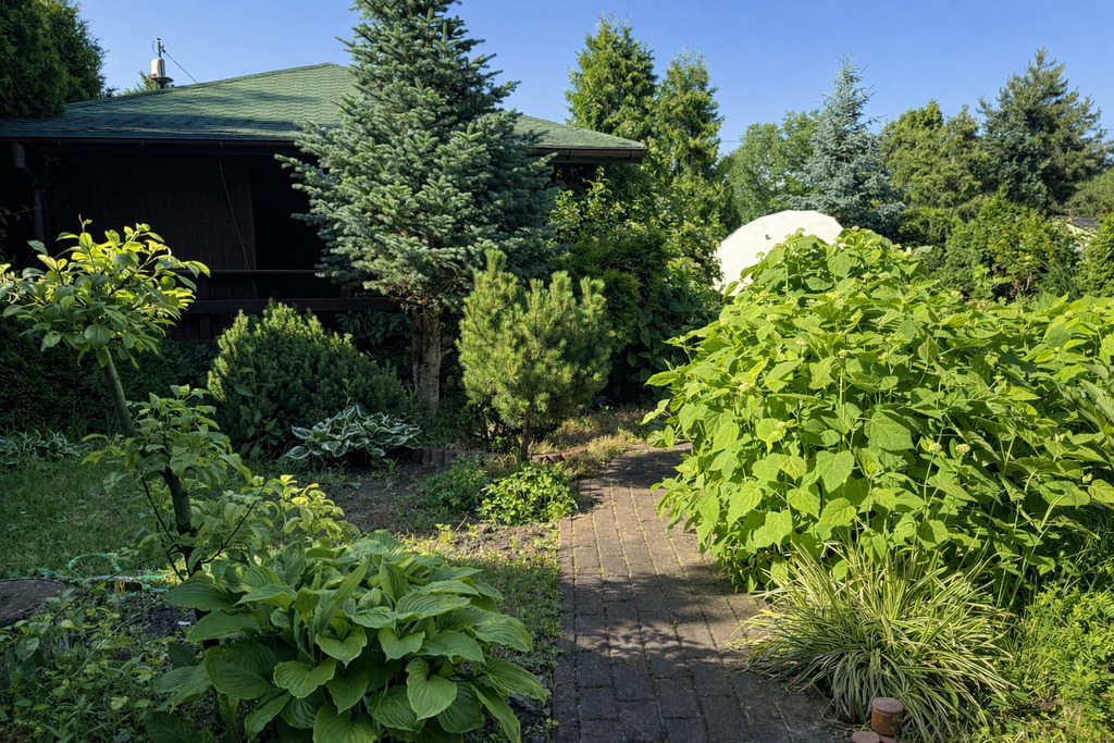 ROD w Łodzi z nowym domkiem – wyposażenie w cenie!
