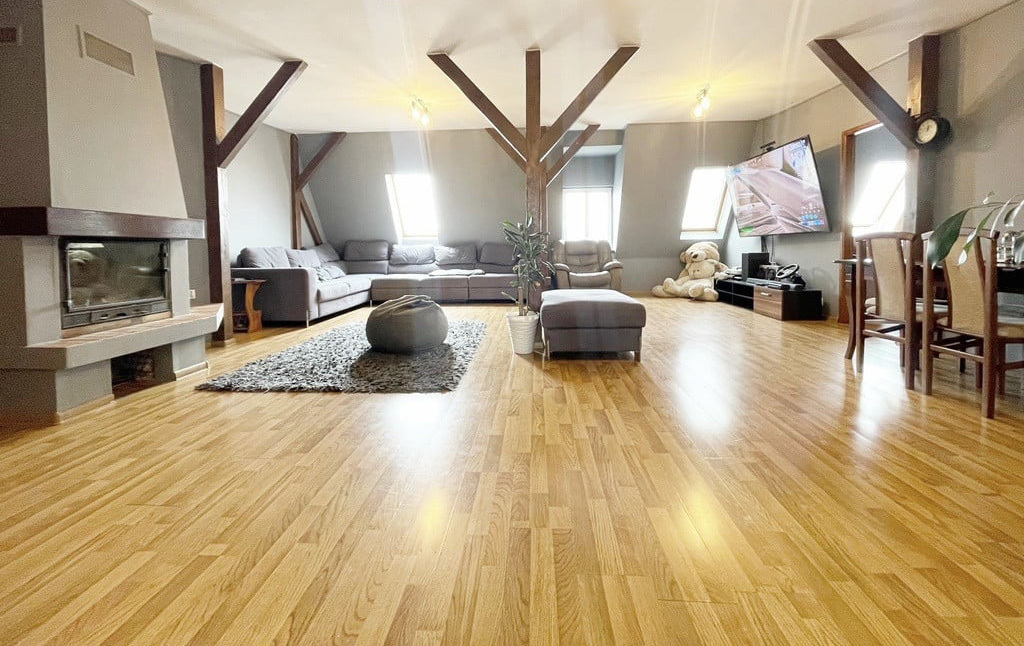 Duże mieszkanie w Kamienicy z loggią