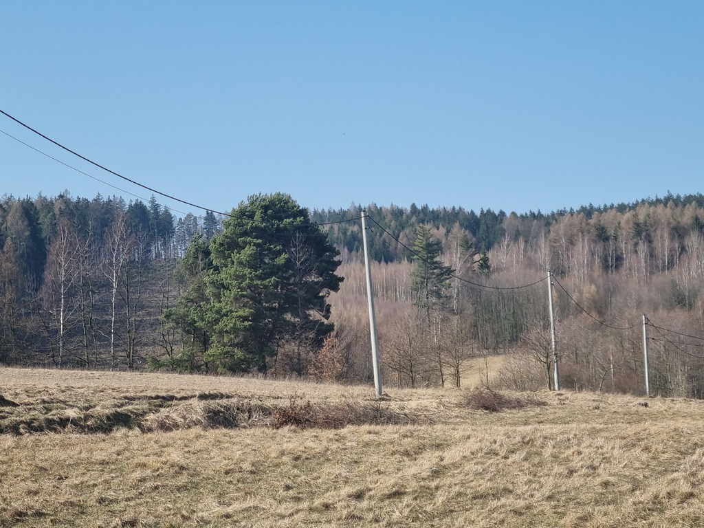 Działka z widokiem na Masyw Śnieżnika