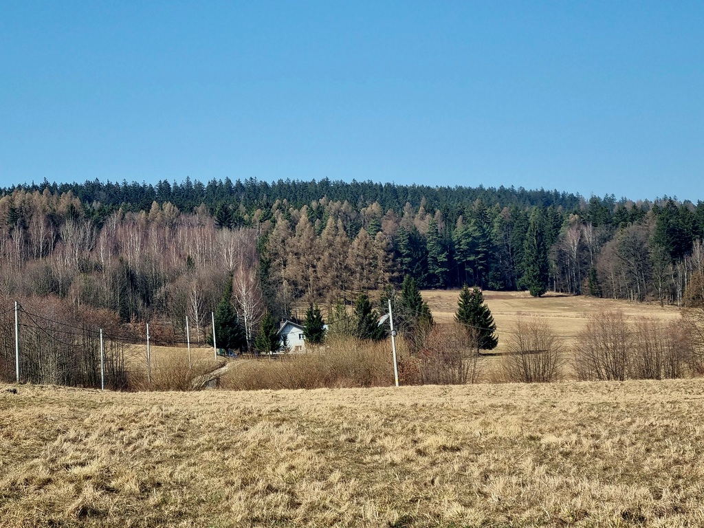 Działka z widokiem na Masyw Śnieżnika