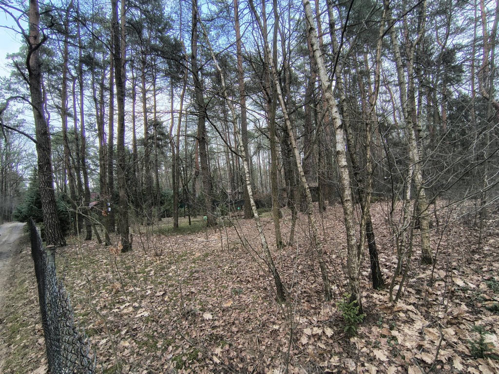 Zofiówka: 1010 m² ciszy blisko Łodzi