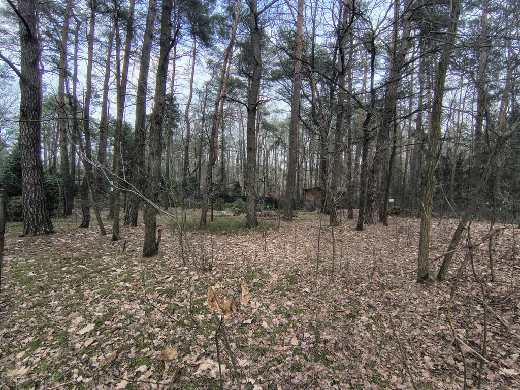 Zofiówka: 1010 m² ciszy blisko Łodzi