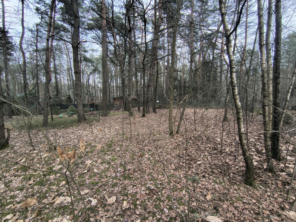 Zofiówka: 1010 m² ciszy blisko Łodzi